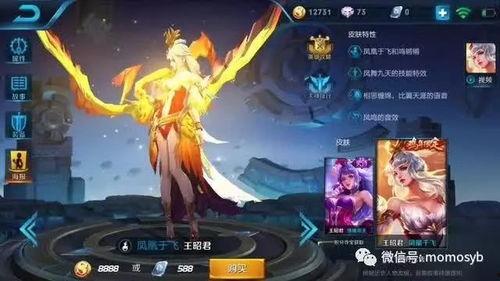 王者皮肤爆料最新国庆,王者皮肤全新爆料，国庆庆典狂欢来袭！