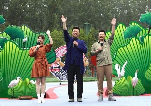 半仙最新生存爆料视频下载,最新爆料视频深度解析