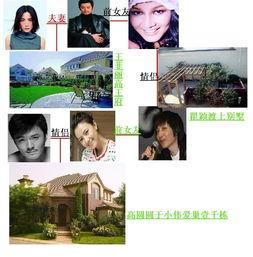 最新明星爆料大全网站,明星动向大揭秘！