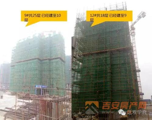 爆料最新的建筑